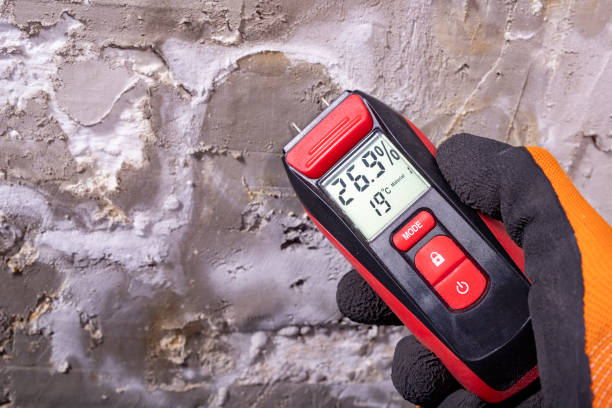 Best Toxic Mold Removal  in Haltom City, TX