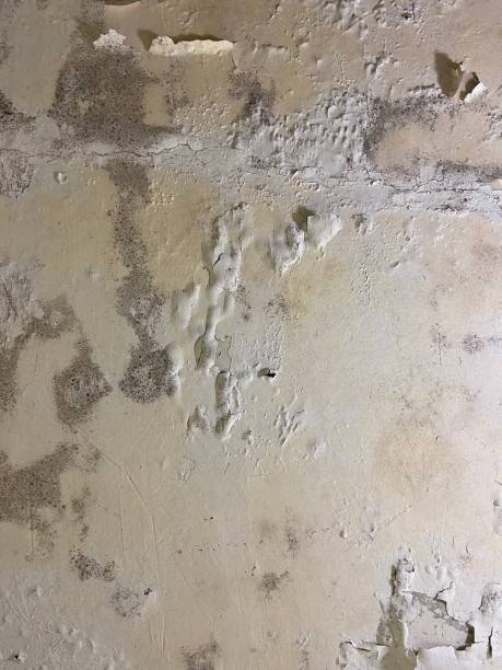 Water Damage Restoration in Haltom City, TX